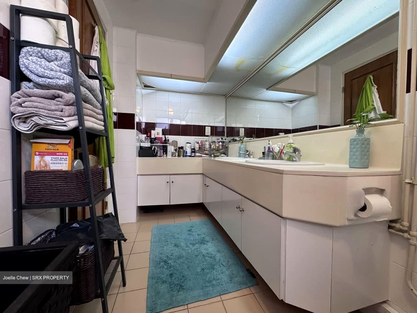 Tanglin Park (D10), Condominium #551239901